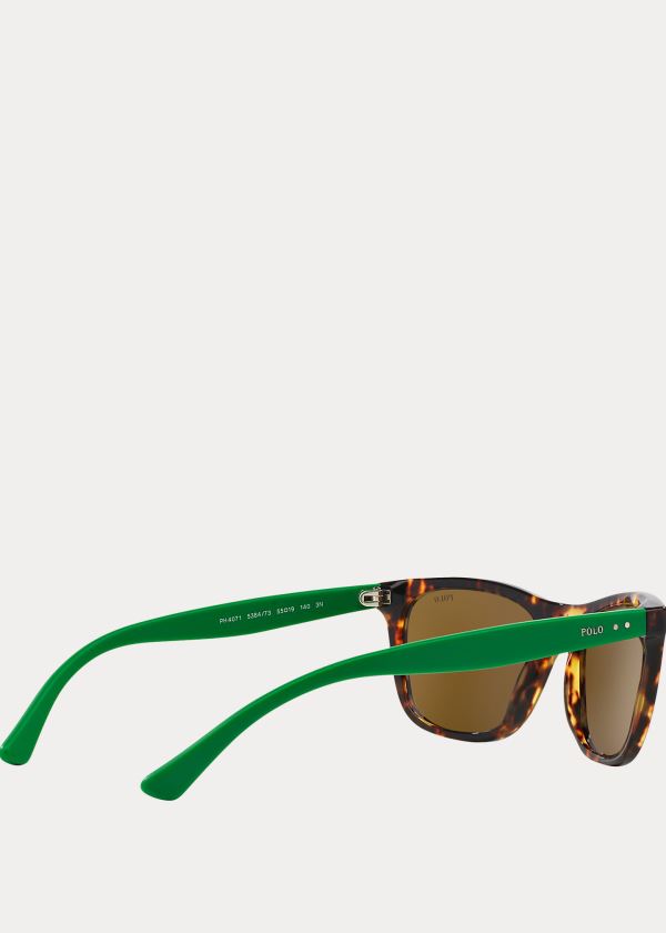 Men's Polo Ralph Lauren Color-Blocked Sunglasses | 126347OYZ